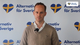 Om problemet r invandring, r lsningen tervandring!