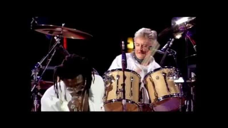 Queen Seal Who Wants To Live Forever ( Freddie Mercury Tribute