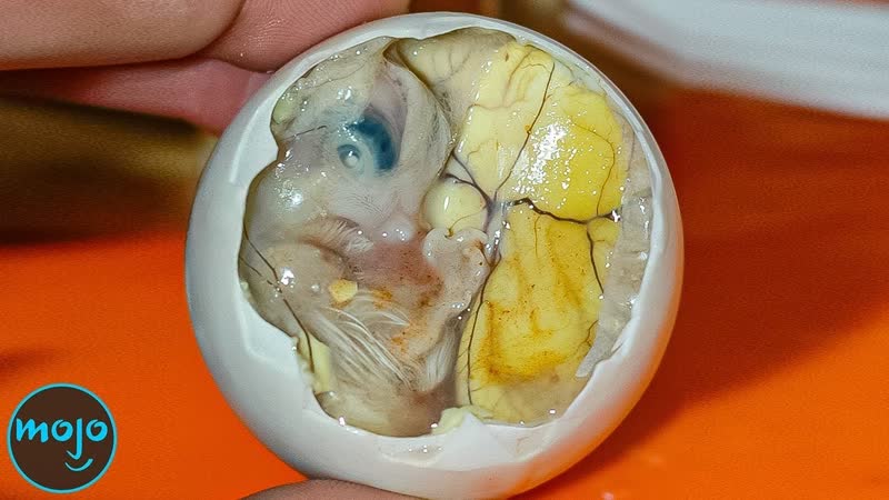 Top 10 Outrageous Food Dishes Youve Never Heard