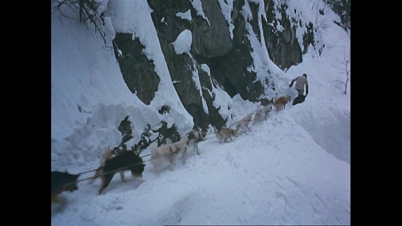 Зов предков Call of the Wild
