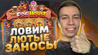 Casino streams online Casino streams online рулетка знакомства онлайн бесплатно контрольчестности рф