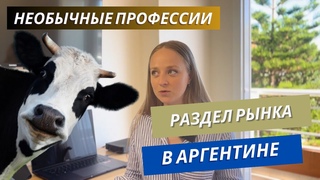 Необычные профессии в Аргентине глазами иммигранта | Раздел рынка | Буэнос-Айрес 2024