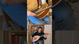 Rare and weird instruments: Nail violin and mandora #violin #instruments #musicalinstruments  #nails