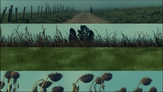 Shot on Bmpcc og | visual therapy