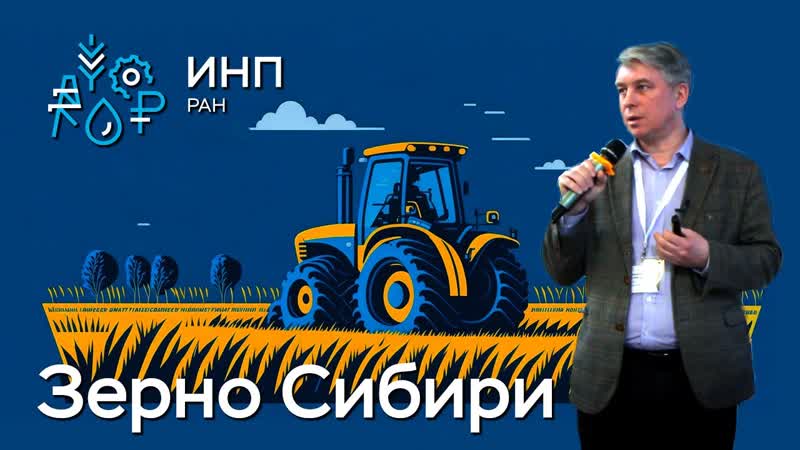 Зерно Сибири: перспективы производства и
