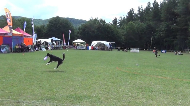 EC AWI 2015, Primera ronda de Paco Lobo y Cleo