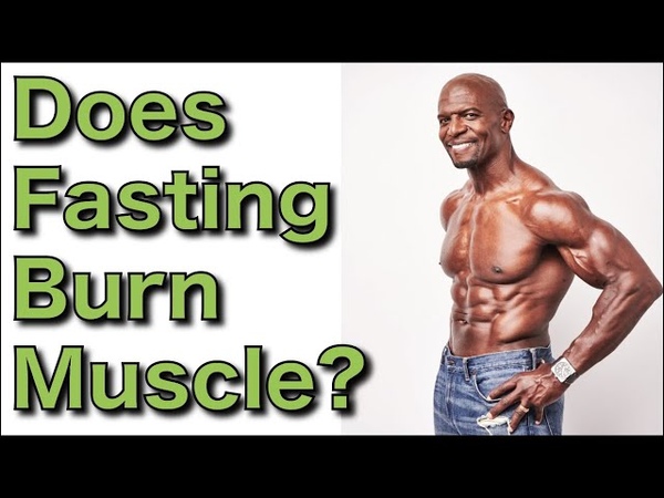 Does Fasting Destroy Your Muscle , Jason