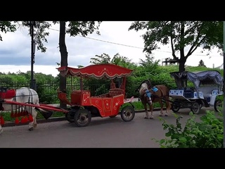 Суздаль. Июнь. 2020