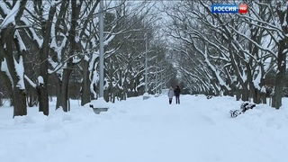 Мой чужой ребенок (2016)