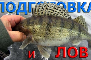 ПОДГОТОВКА СНАСТИ и ЛОВ СУДАКА. ( Подлёдный,вертикальный джиг )