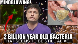 Strange Life Forms That Appeared Alive Found Inside 2 Billion Year Old Rocks