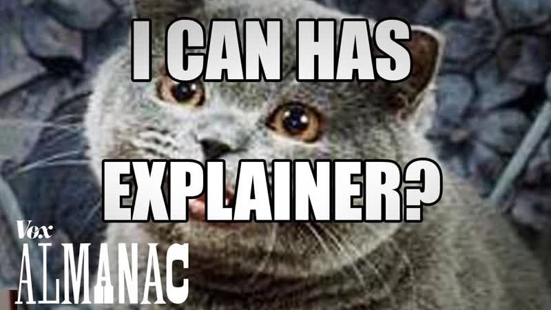 The reason every meme uses that one