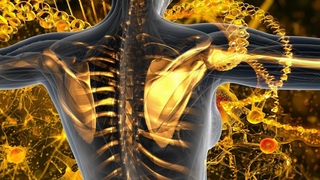 Alpha Wave Induced Body Revitalization In 4 Min - Music Heal All Heal and Facilitating DNA Repair #1
