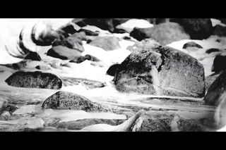 Wake Owl - Wild Country [Official Video]