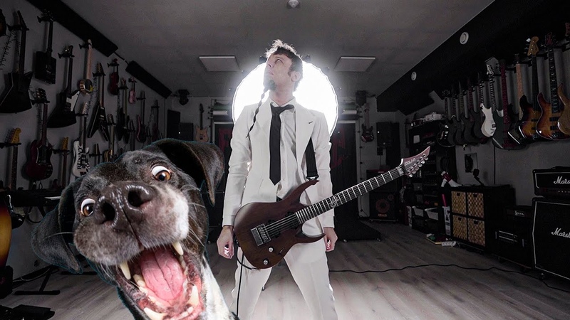 Who Let The Dogs Out (metal cover by Leo