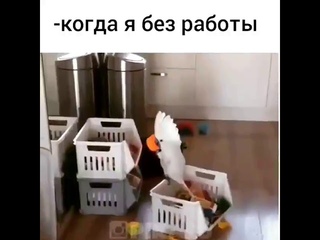 Без работы