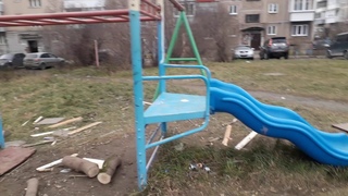 Осенние снегири .