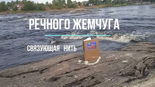 Гороховик Е.В.