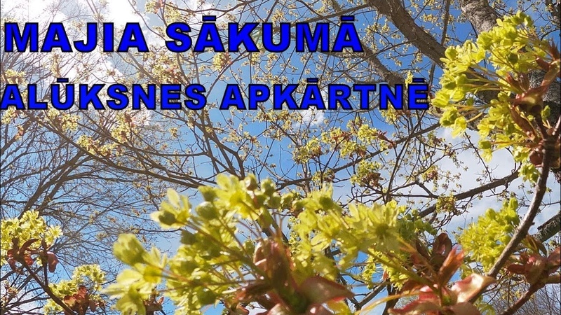 Majia sakumā Aluksnes apkārtnē. Начало мая в окрестностях