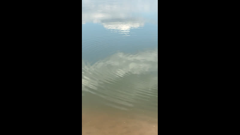 Видео от Григория