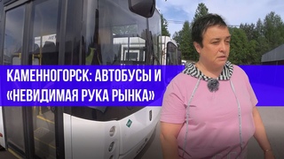Каменногорск: Автобусы и невидимая рука рынка