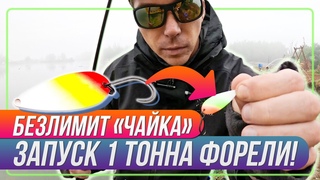 1 ТОННА ФОРЕЛИ. Безлимит ЧАЙКА. Рыбалка с #OnlySpin