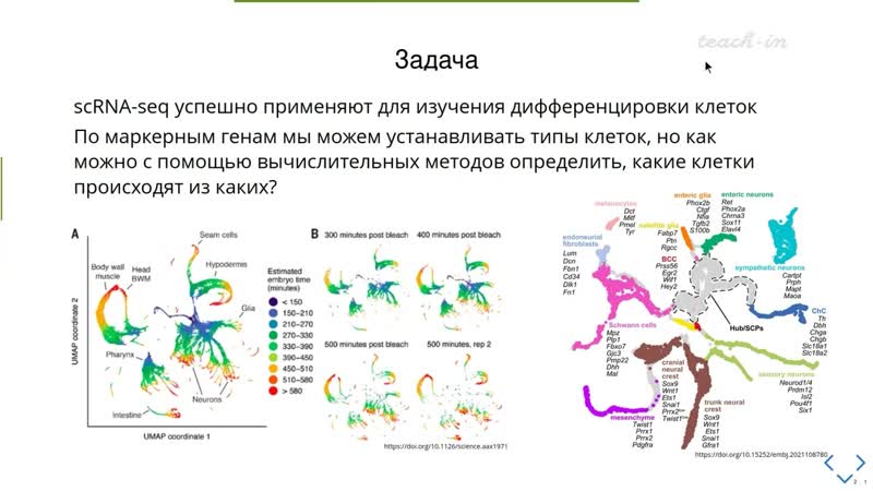 Бобровский Д. М. Анализ транскриптомных данных Лекция 13.