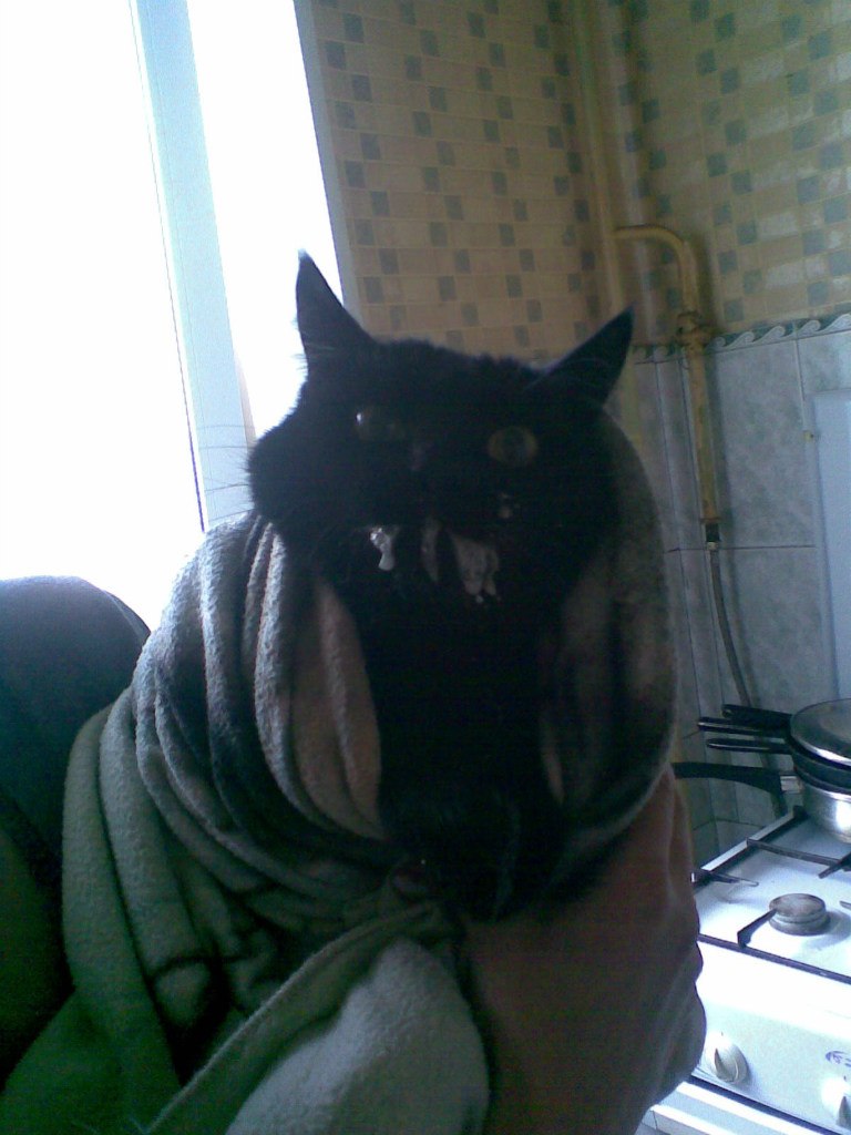 Карина Карпова | Москва