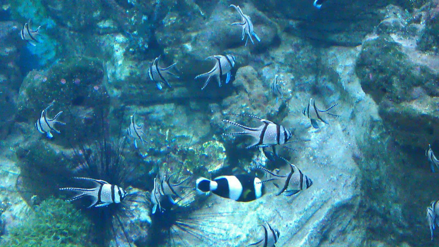 Роман Маланичев | Москва