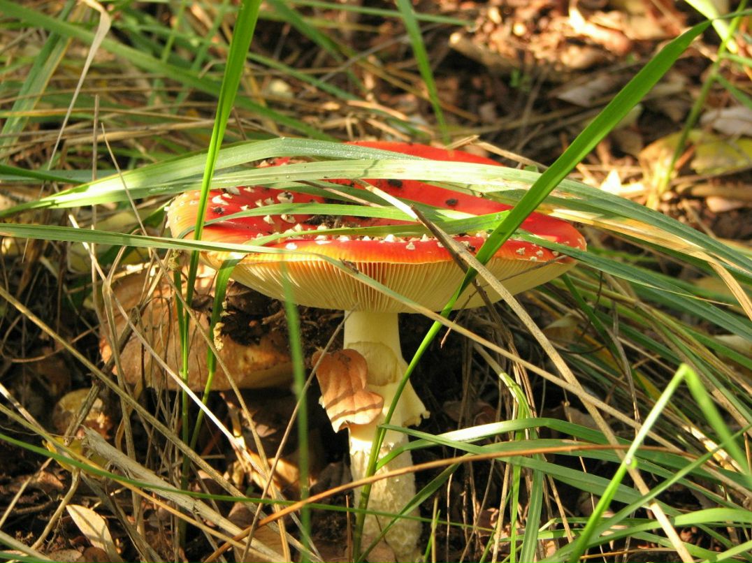 Владимир Зощук То густо То пусто | Севастополь