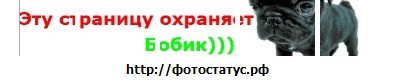 Кирилл Золов фото со стены #6