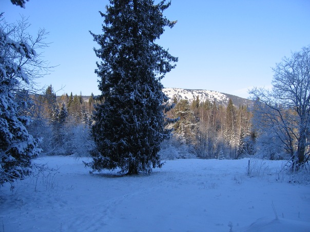 №74, Константин Тарасов, 30.5 №74, Константин Тарасов, 30.5