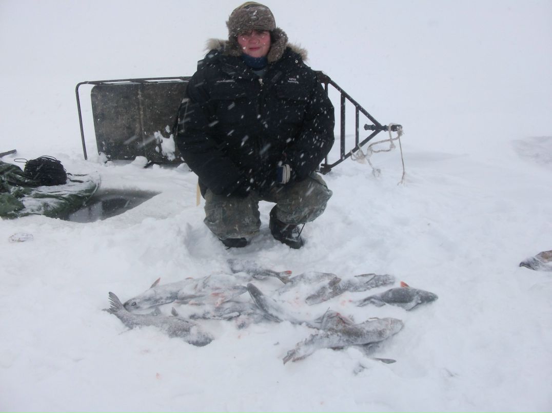 Нина Анашкина | 