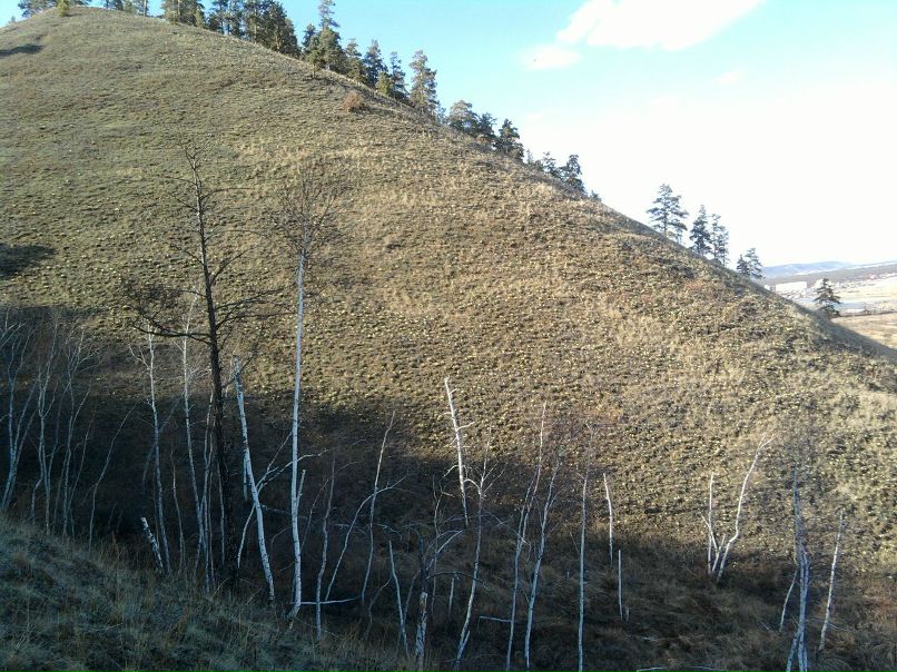 Александр Шарафудинов | Якутск