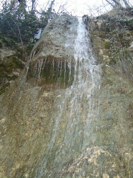 №4, Толик Псёла №4, Толик Псёла