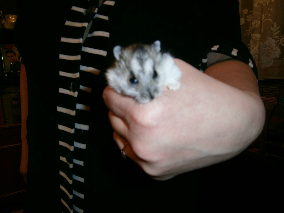 Андрей Караваев | Москва