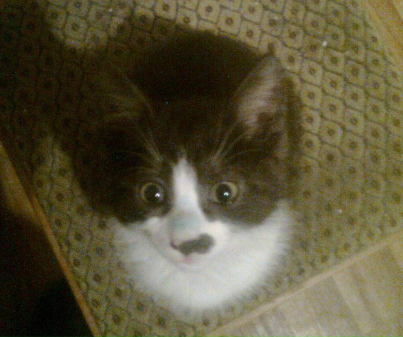 Рома Альяров | Lausanne