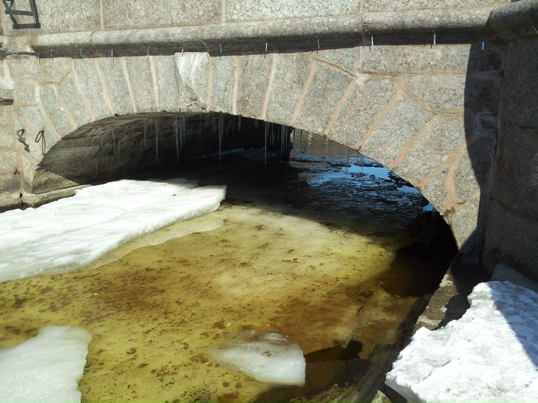 Сергей Васильев | Санкт-Петербург