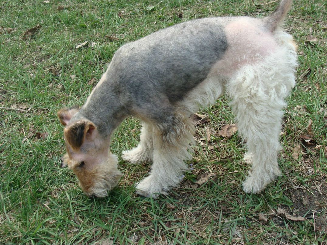 Леонид Семин | Краснодар