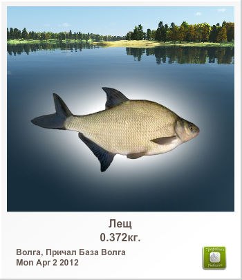 Сергей Алексеев | Санкт-Петербург