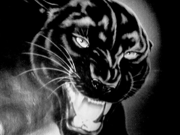 №117, Алёна Асхильд, Новосибирск №117, Алёна Асхильд, Новосибирск