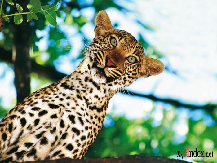 Нина Разумная | Москва