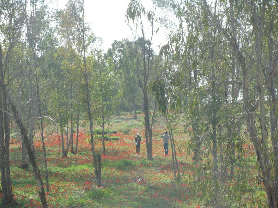 Дина Розенталь | Москва