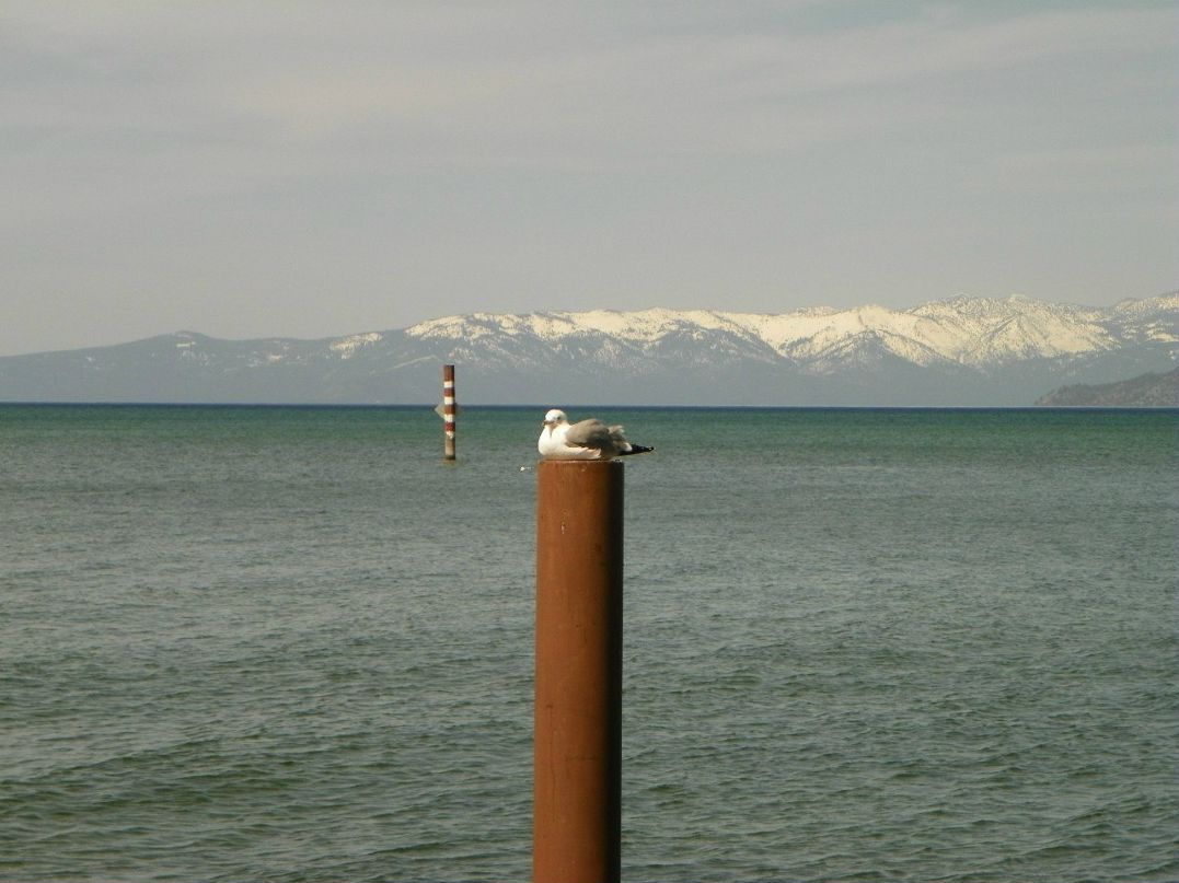 Яна Батрак | Los Angeles