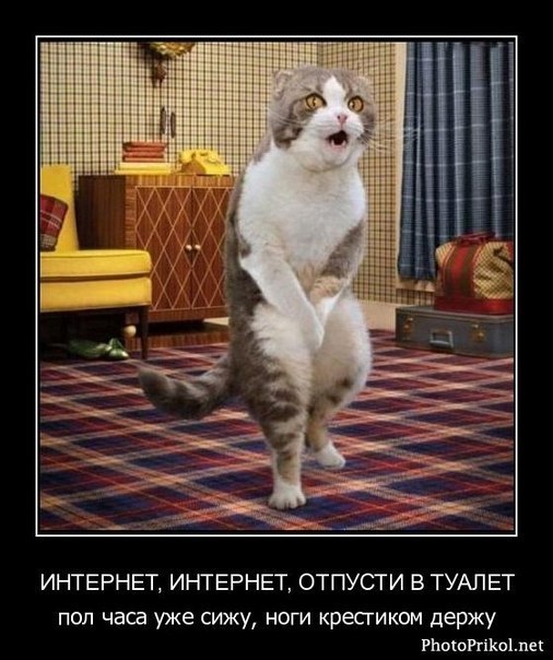 Евгений Алексеев | 