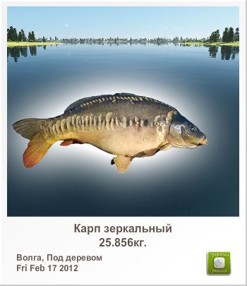 Герман Сорокин CHELSEA | Черкассы