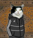 Фотография Nes Terov
