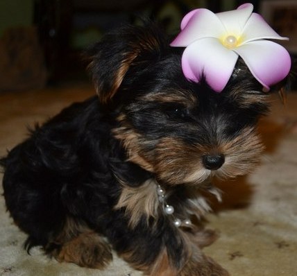 №78, Ольга Бычкова, 37 лет, Москва №78, Ольга Бычкова, 37 лет, Москва