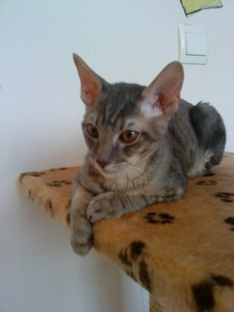 Анна Ткач | Калининград