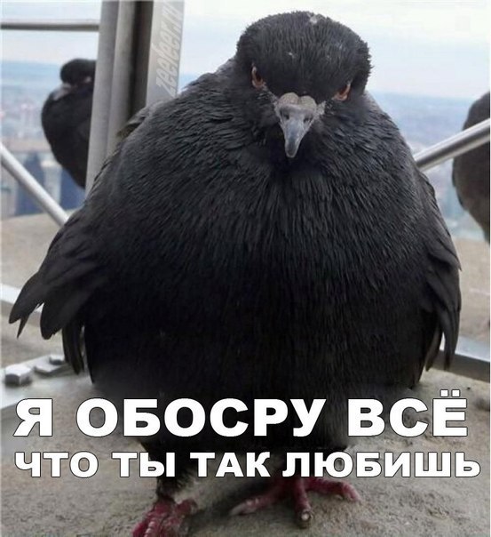 Алексей Синин | Москва